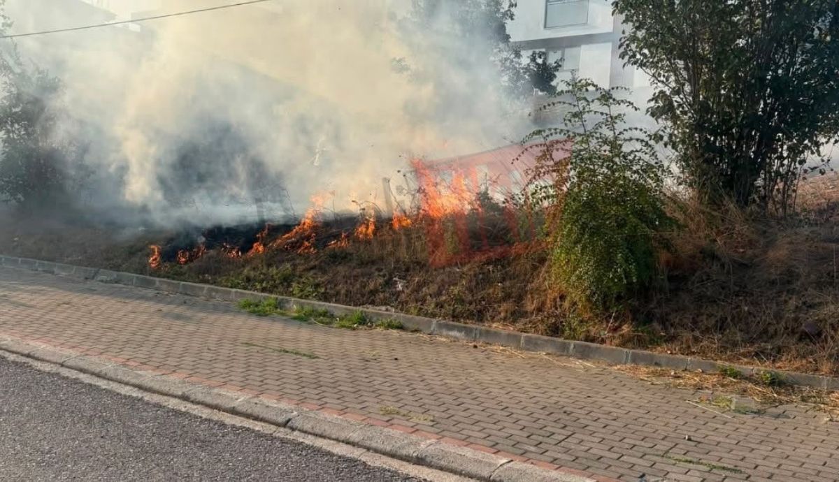 Derince’de korkutan yangın! Başkan Gökçe de söndürme çalışmalarına katıldı