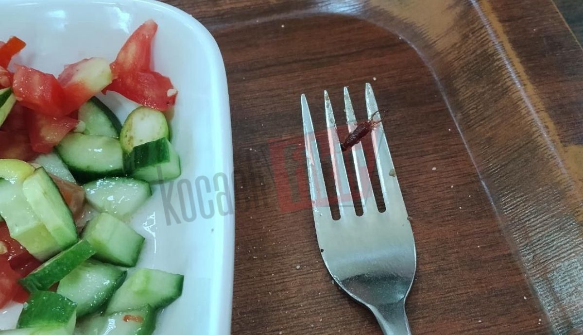 Kocaelili ailenin yemek şoku! Ciğer siparişinden böcek çıktı
