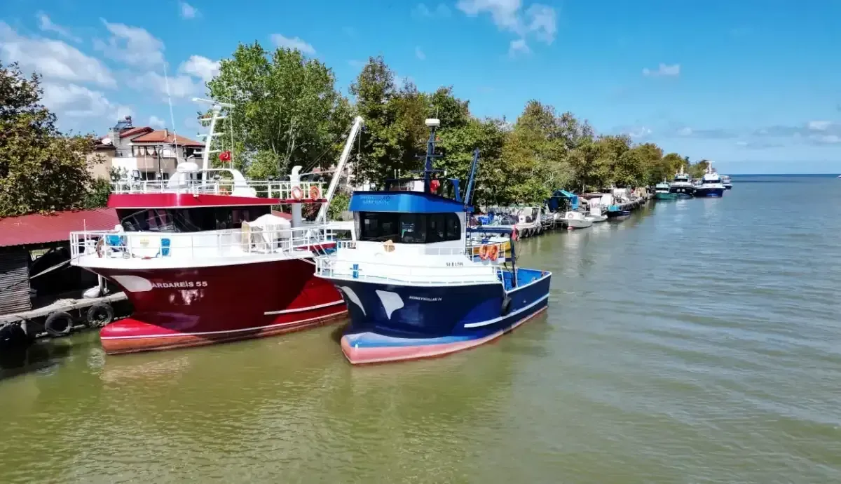 Kocaeli’nin yanı başında balıkçılar tehlikede