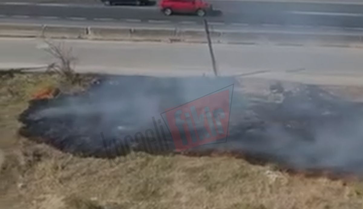 Gölcük’te otluk alanda yangın paniği!