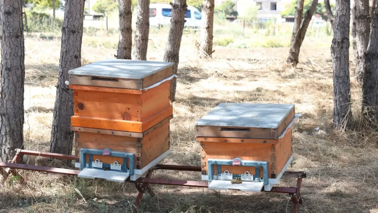 Kocaeli’de 20 üreticiye arıcılık eğitimi verildi!
