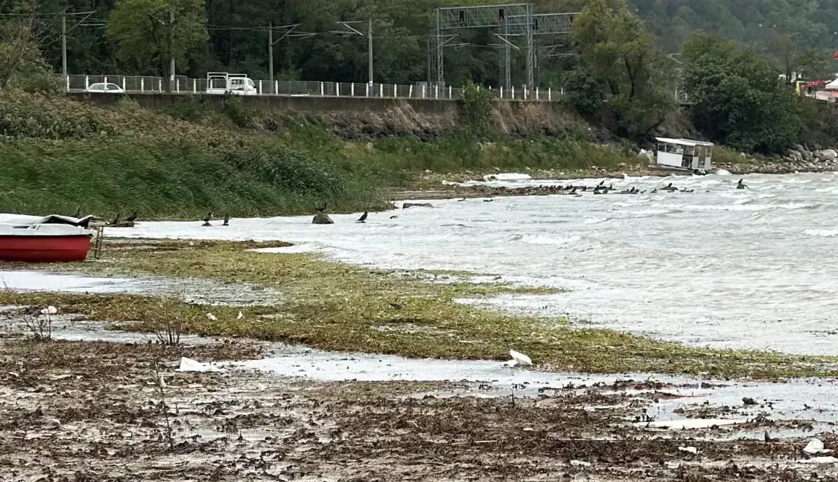 Sapanca Gölü'nde su seviyesi alarm veriyor