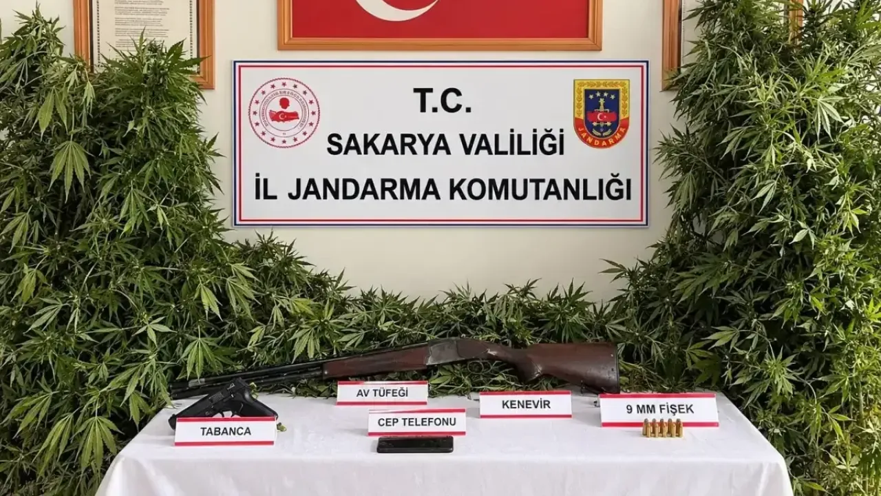 3 ilçede peş peşe operasyon: 3 tutuklama