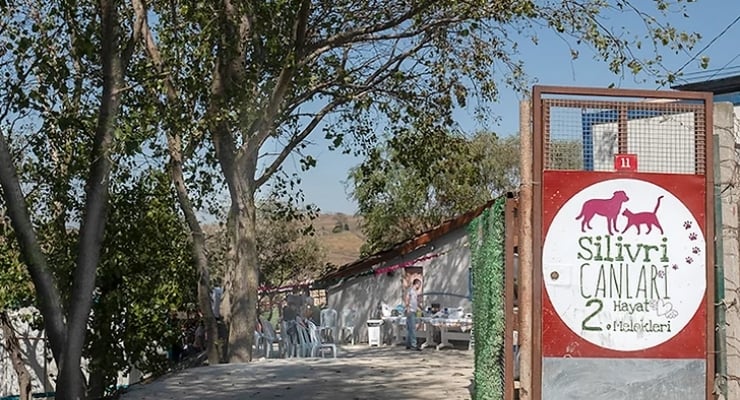 Silivri Canları İkinci Hayat Melekleri adlı hayvan barınağı derneğine gerçekleştirilen