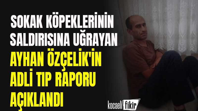 İstanbul'un Fatih ilçesinde sokak köpeklerinin saldırısına uğrayarak hayatını kaybeden Ayhan