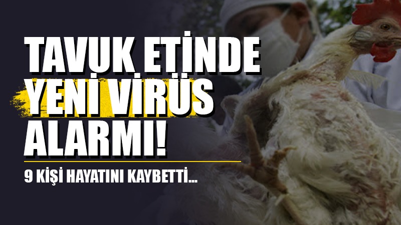 2024 yılı sona yaklaşırken, dünya genelinde ortaya çıkan salgınlar endişe