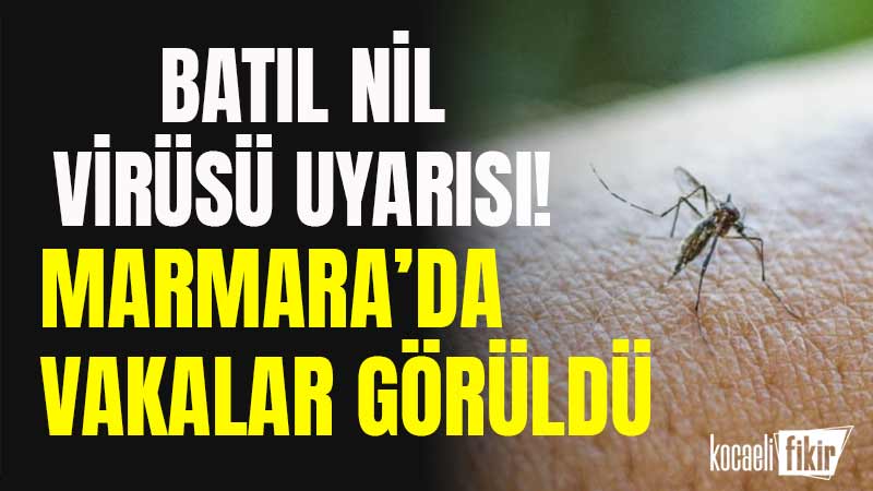 Türk Klinik Mikrobiyoloji ve Enfeksiyon Hastalıkları Derneği Başkanı Prof. Dr.