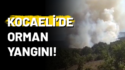 Karamürsel'deki ormanlık alanda yangın çıktı