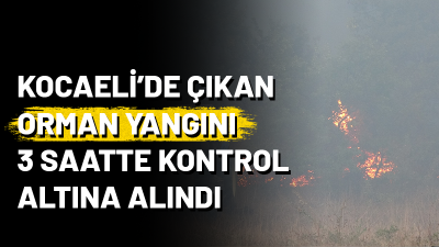 Karamürsel'de ormanlık alanda çıkan yangın 3 saatte kontrol altına alındı