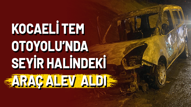  TEM Otoyolu Kocaeli geçişinde seyir halinde olan hafif ticari