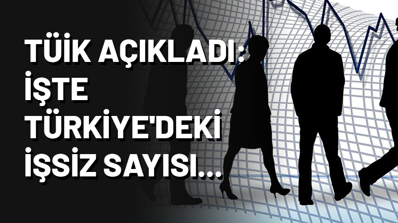 TÜİK'in açıkladığı ağustos ayı işsizlik oranları belli oldu. 