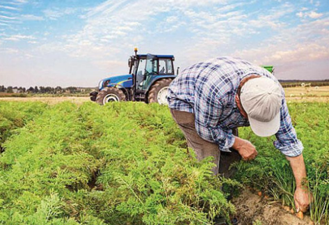 Tarım ve Orman Bakanlığı, 213 milyon 477 bin lira tarımsal