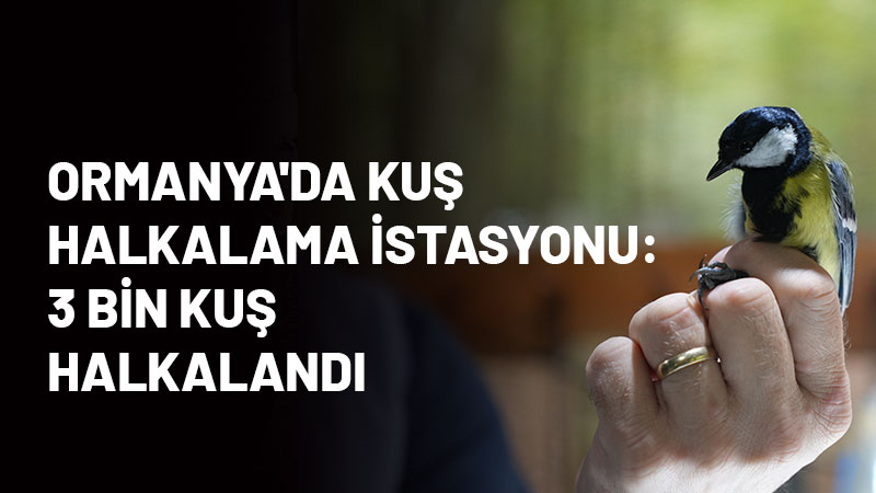 Avrupa'nın en büyük doğal yaşam parkı Ormanya'da kurulan kuş halkalama