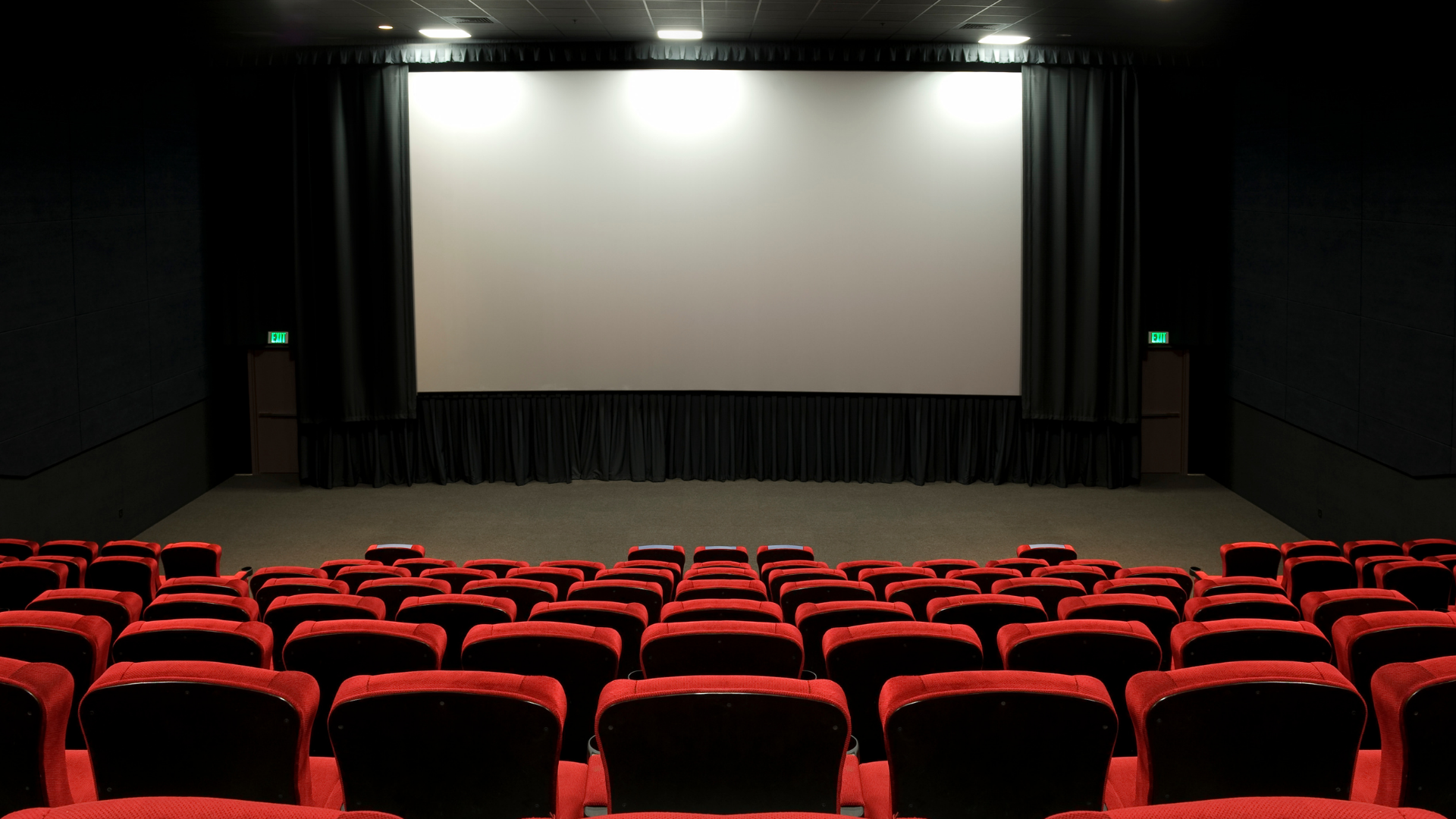 Film severler için Kasım 2024, geniş bir yelpazede seçenekler sunuyor.