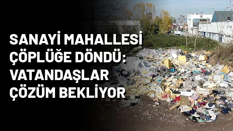 İzmit Sanayi Mahallesi'nde boş arazilere ve yollara sorumsuzca atılan çöpler,