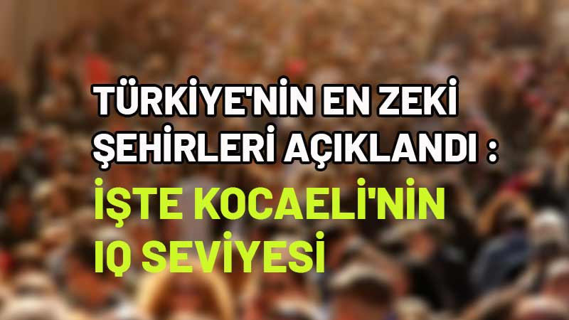 Türkiye genelinde yapılan kapsamlı bir araştırma sonucunda, illerin IQ seviyelerine