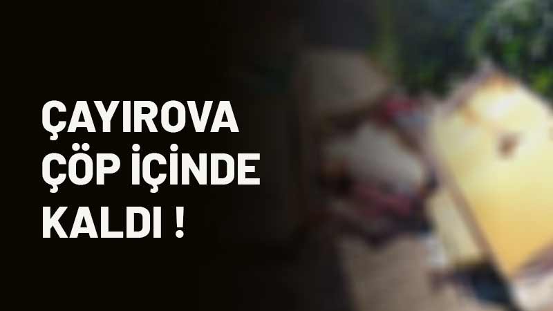 Çayırova'ya şehir dışından yeni taşınan bir vatandaş, Çayırova Belediyesi'nin çöp