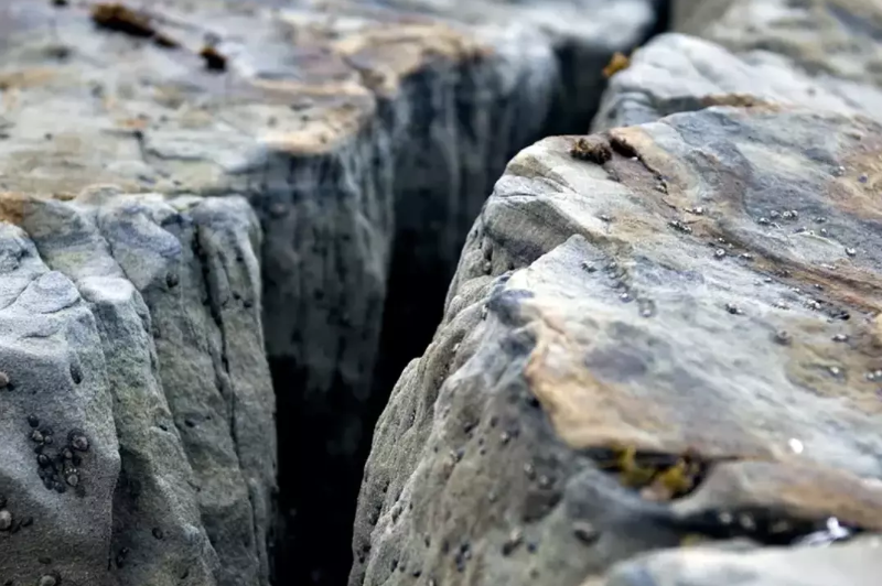 Almanya Göttingen Üniversitesi'nden bilim insanları, Türkiye'nin güneydoğusundan başlayarak Irak ve