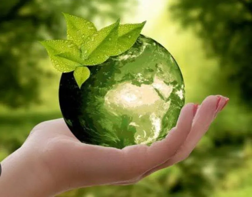 Geri dönüşüm, çevreyi koruma ve doğal kaynakları verimli kullanma açısından