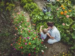 Hobi Bahçeliği ile Taze Sebze Yetiştirme: Doğayla İç İçe Bir Yaşamın Kapıları