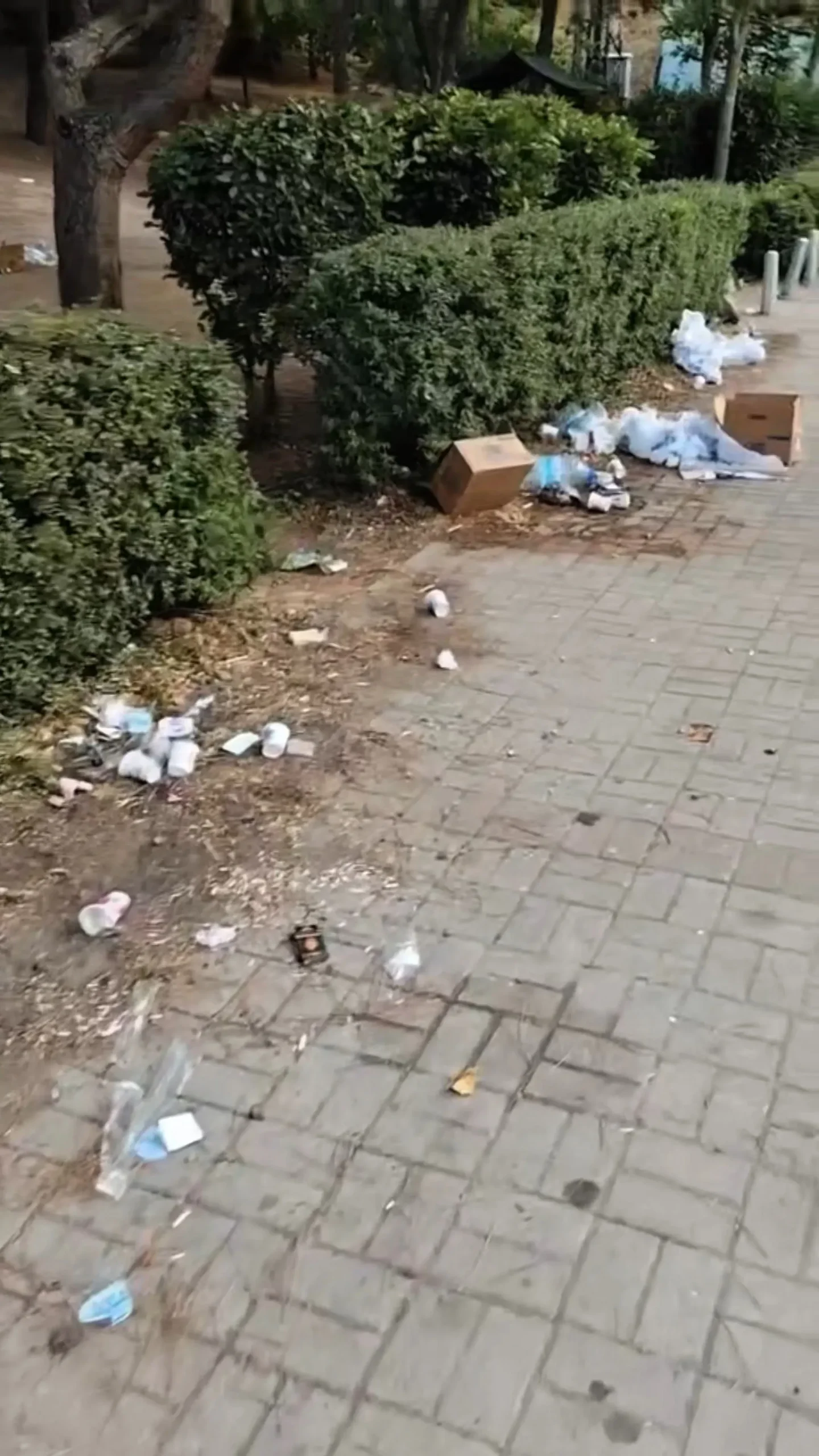 Derince'de 'Hindistan'ı aratmayan görüntüler! Bu kadarına da pes