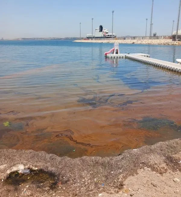 Yalova'nın Çiftlikköy ilçesinde Dantel Sitesi önünde deniz kirliliği tespit edilirken,