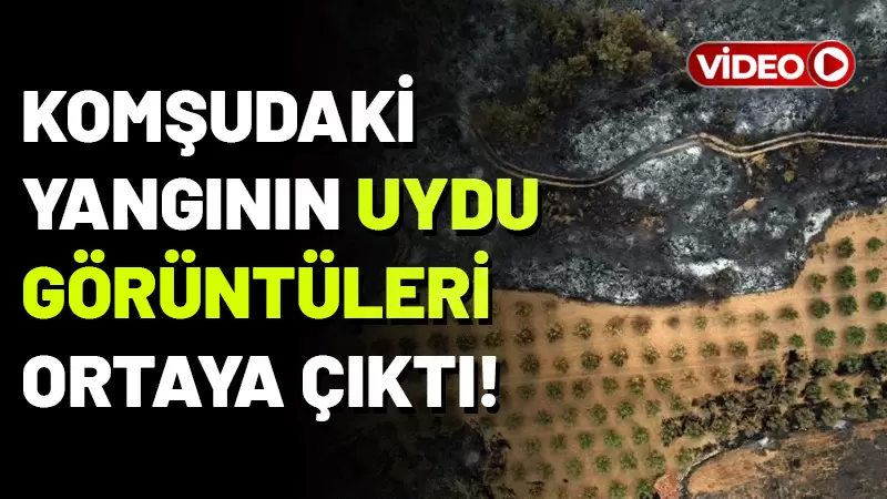 Sakarya'nın Geyve ilçesinde başlayıp Bilecik'e sıçrayan orman yangınının uydudan çekilen