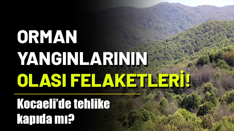 Yaz aylarının etkisini artırmasıyla birlikte, Türkiye’nin pek çok bölgesinde orman