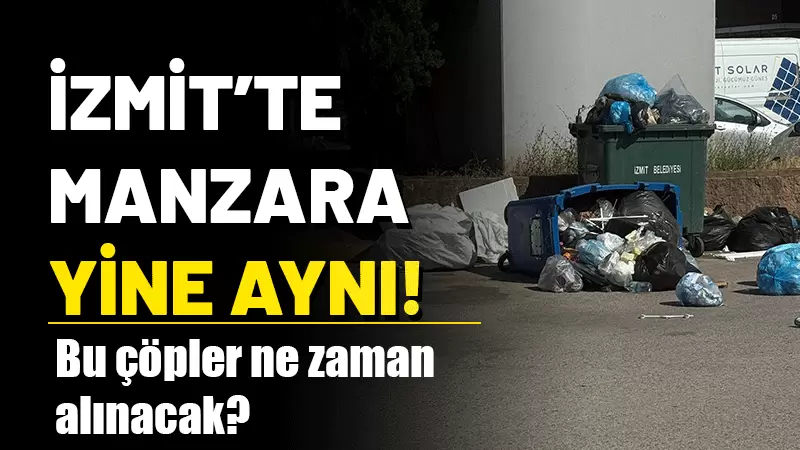 İzmit'te bulunan Çarşı Yapı'da uzun süredir biriken ve toplanmayı bekleyen