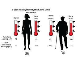 Islak Termometre Sıcaklığı: Nedir ve Neden Önemlidir?