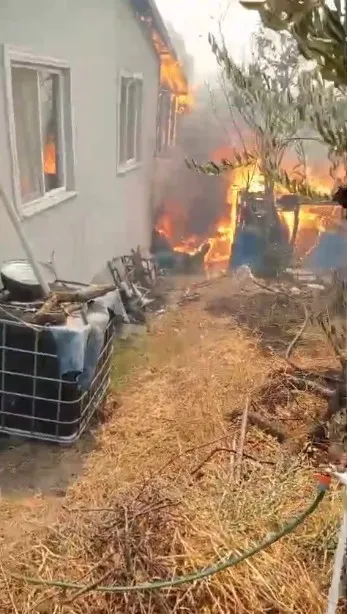 Kocaeli'de ormanı yangını nedeniyle Akçat köyü boşaltılıyor!