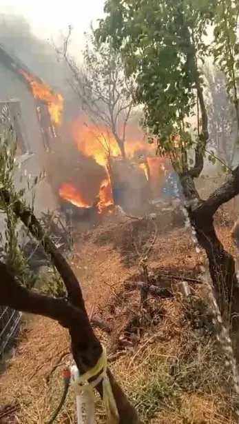 Kocaeli'de ormanı yangını nedeniyle Akçat köyü boşaltılıyor!