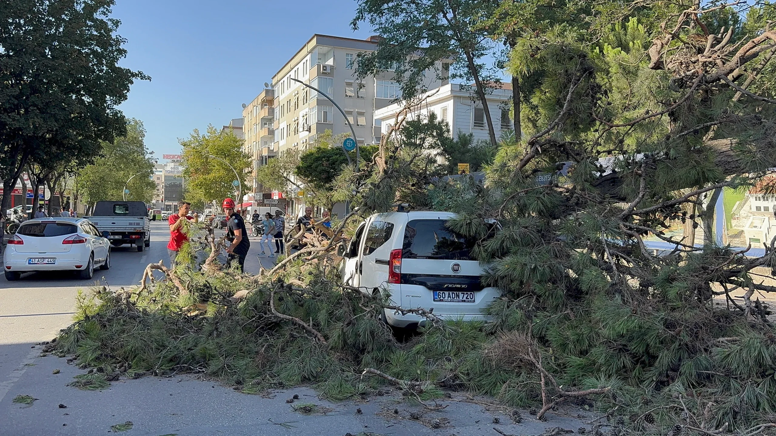 Kocaeli'de rüzgarın devirdiği ağaç aracın üzerinde düştü!