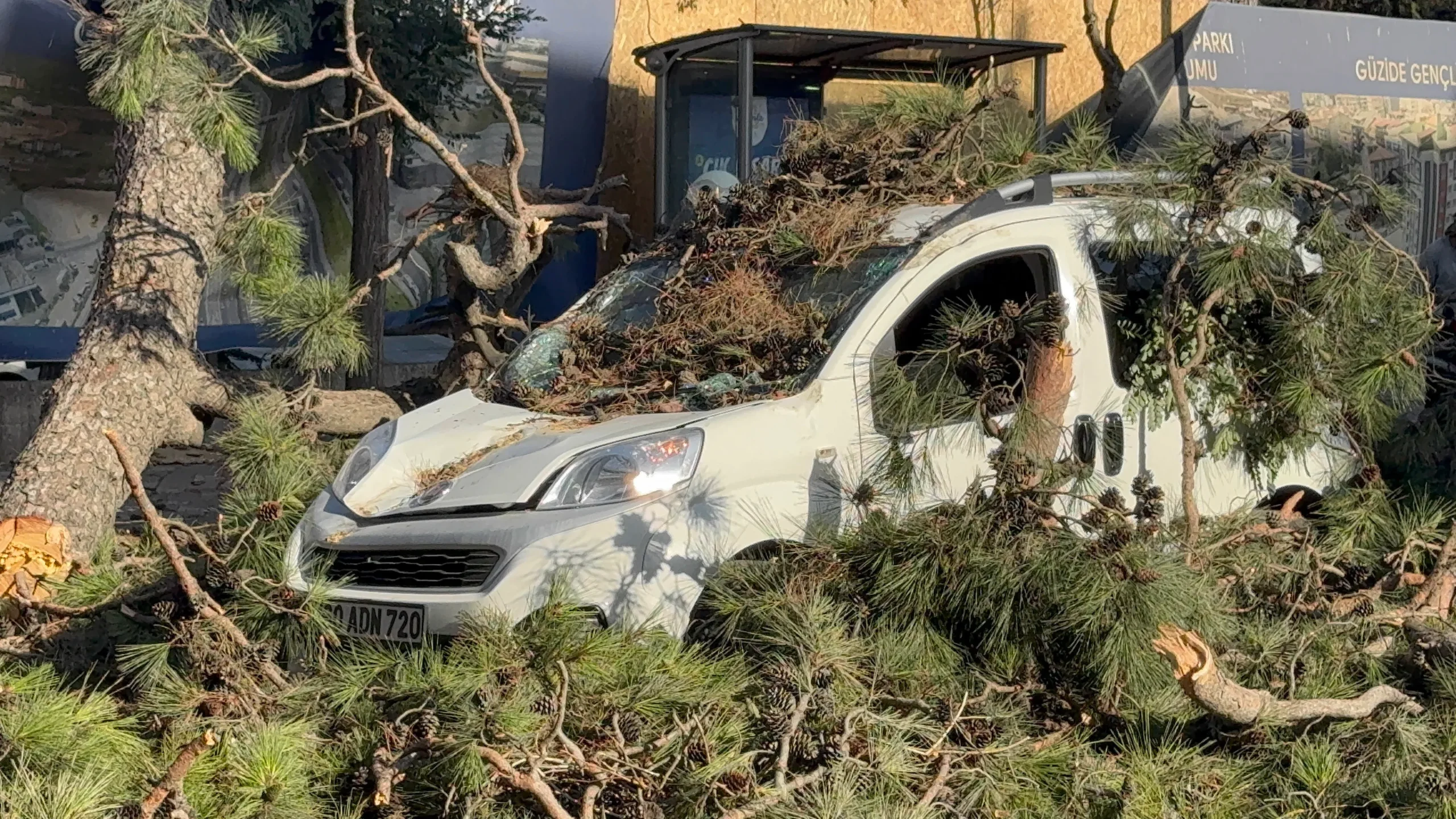 Kocaeli'de rüzgarın devirdiği ağaç aracın üzerinde düştü!