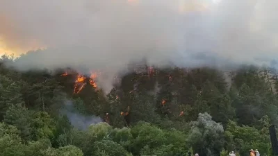 Bolu'nun Mengen ilçesinde çıkan orman yangını rüzgarın etkisi ile yayılırken,