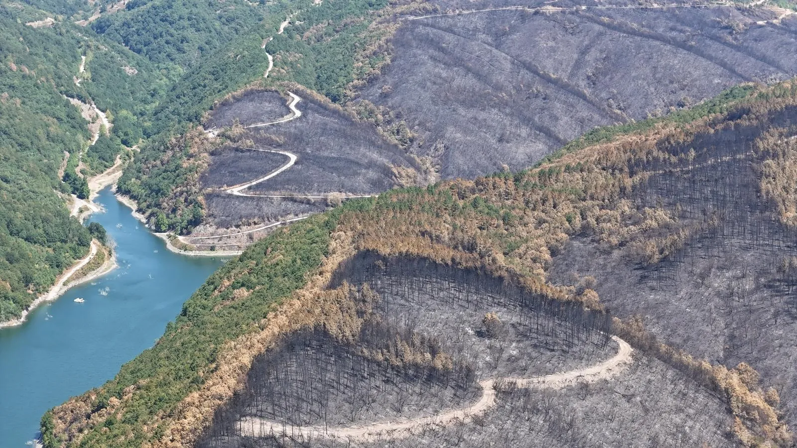 Kocaeli'de yangın sonrası yürek burkan manzara!