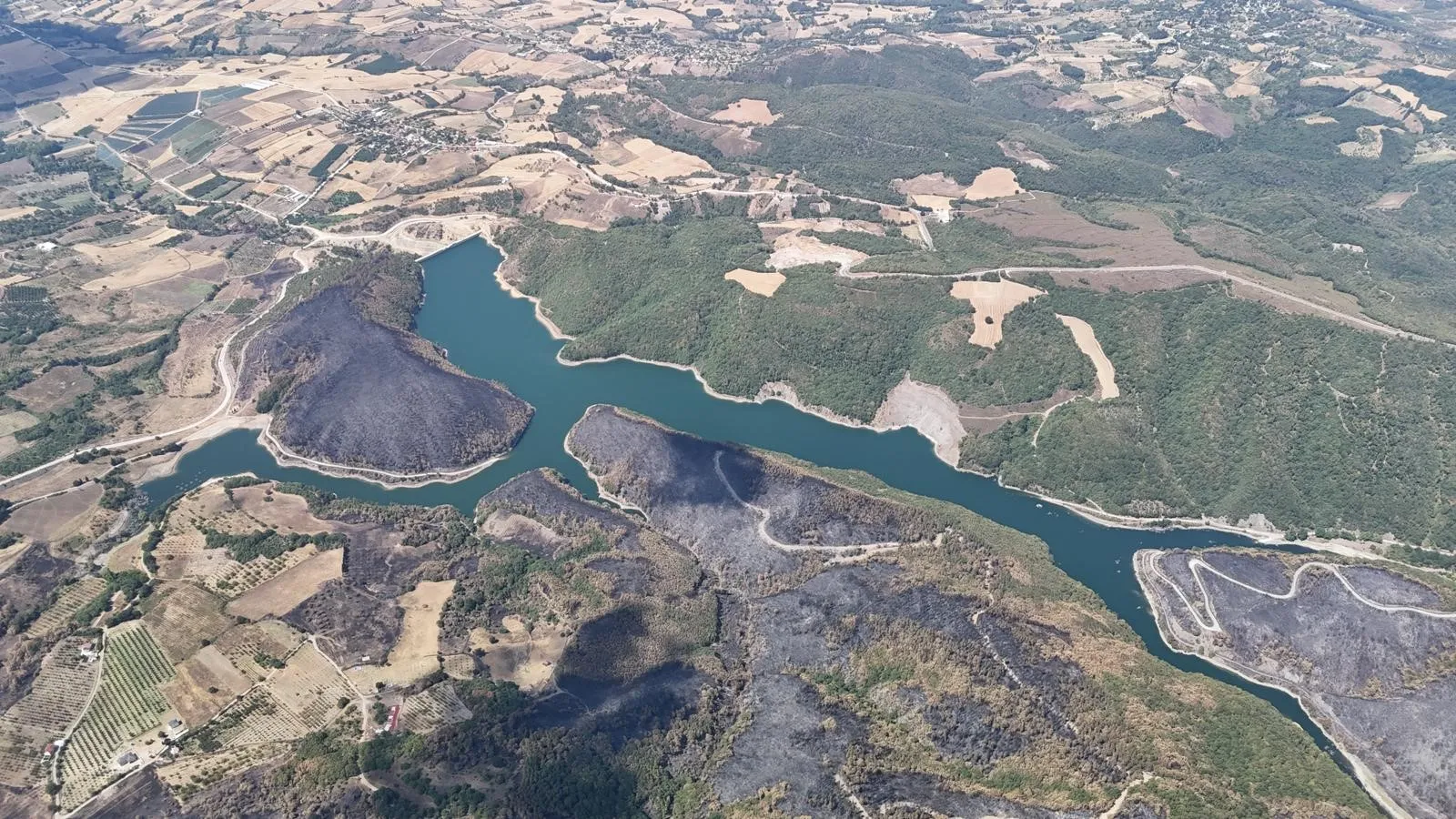 Kocaeli'de yangın sonrası yürek burkan manzara!