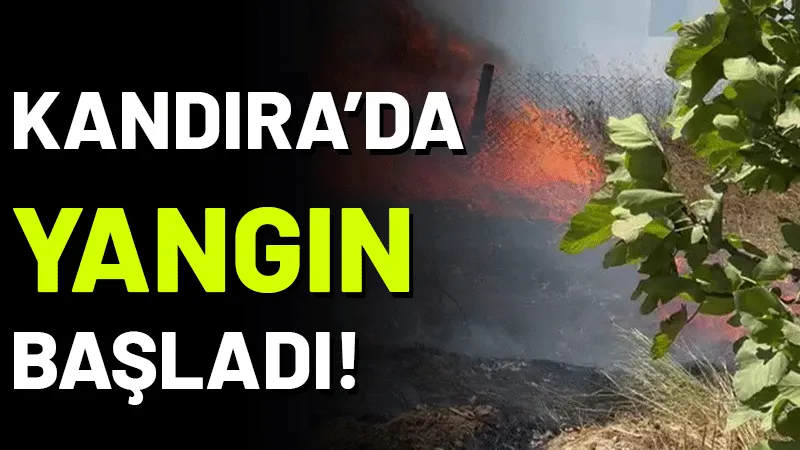 Kocaeli'nin Kandıra ilçesi Koruklar köyünde yangın başladı. Yangının yerleşim yerine