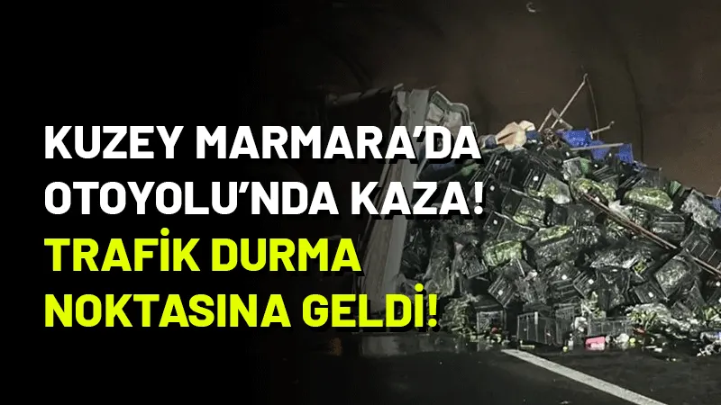 Kuzey Marmara Otoyolu Riva Tüneli içerisinde seyir halindeki tır, lastiğinin