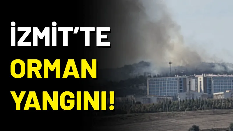 KOÜ Umuttepe Kampüsü yakınlarındaki ormanlık alanda yangın çıktı. Yangın ekipler