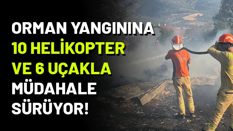 Bursa'nın İznik ilçesinde başlayıp rüzgarın etkisiyle Kocaeli'nin Karamürsel ilçesine sıçrayan