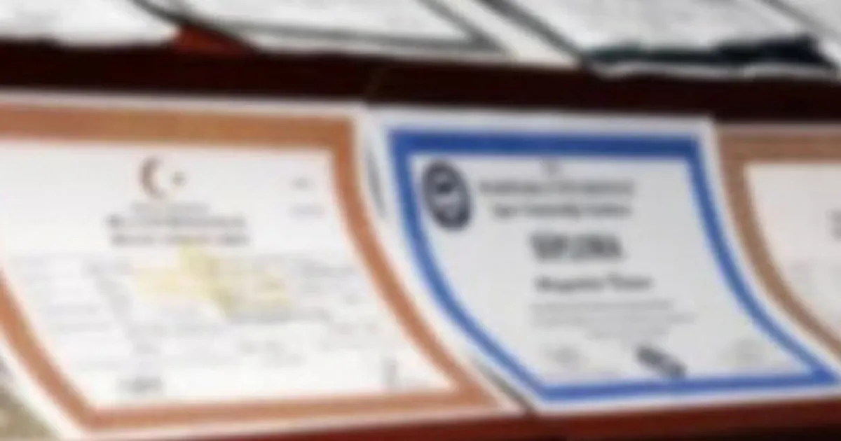 Sahte diploma çetesi elebaşının ifadesi ortaya çıktı