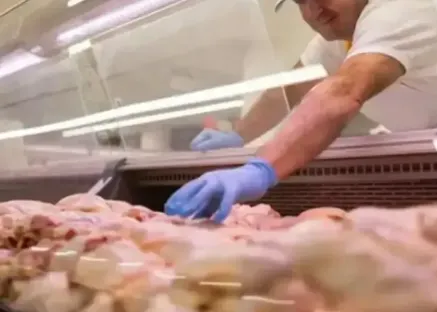 Rekabet Kurulu tarafından beyaz et sektöründe yürütülen soruşturma tamamlandı. Bu