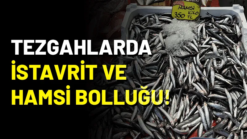 Kocaeli'de balık sezonunun açılmasıyla tezgahlar şenlenirken, hamsi ve istavrit bolluğu