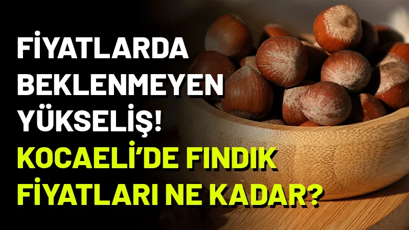 Türkiye’nin en önemli tarımsal ihraç ürünlerinden olan fındıkta fiyatlar yükselişini