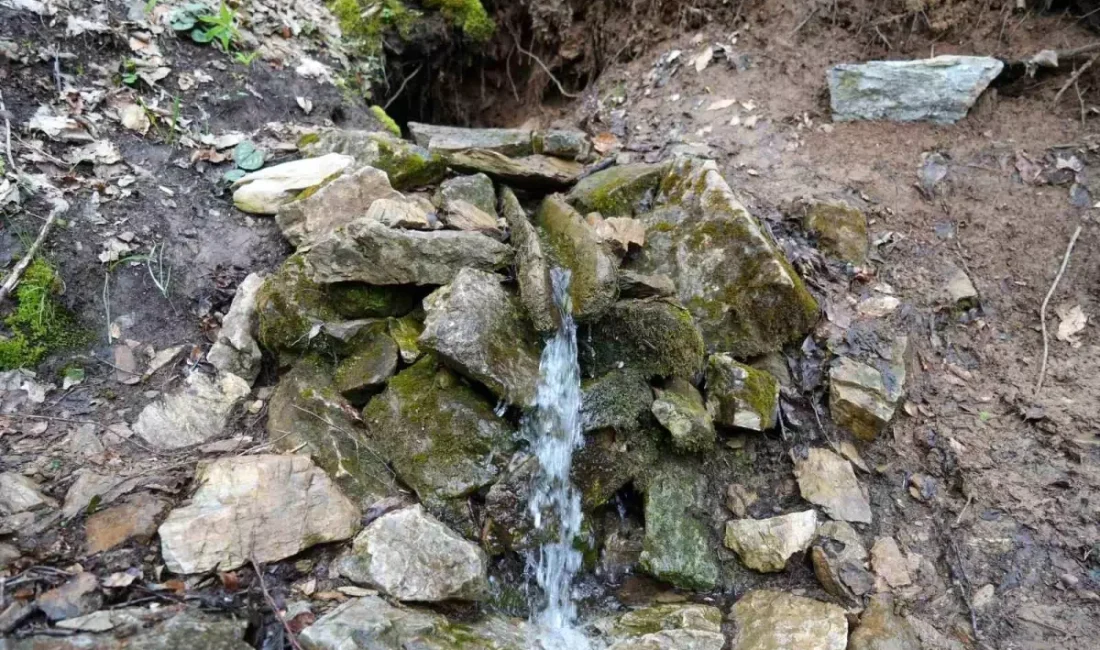 Kastamonu'da kaynak suyun dua sonrası aktığına inanılıyor, vatandaşlar şifa arıyor.
