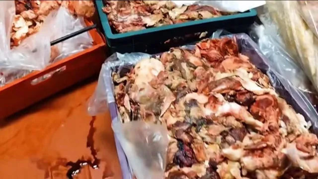 Kaçak et skandalında yeni gelişme: Kamu kurumlarına da satmışlar