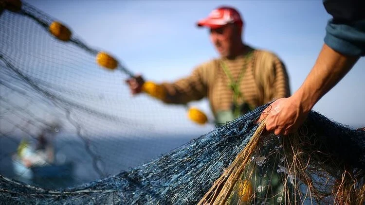 Balık Sezonu Yaklaşırken Fiyatlar Ne Durumda?