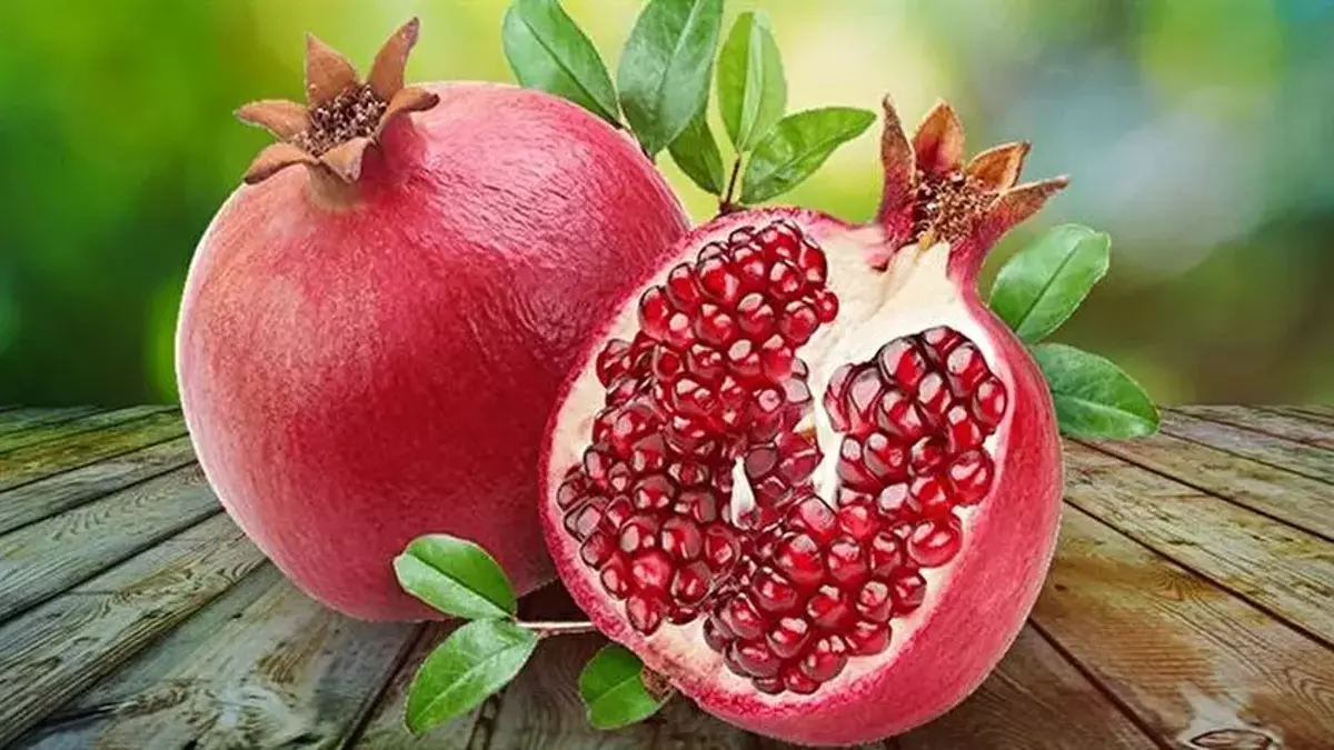 Soğuk havaların başlamasıyla birlikte, vücut direncini artıran ve hastalıklara karşı