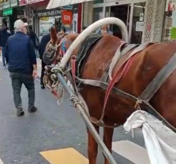 Edirne'de sahibi olduğu at arabasını yaya geçidi üzerine park eden